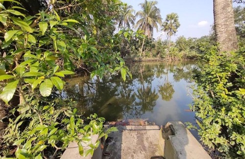 Diamond Harbour House | Amullya Kanan Villa, Sundarban