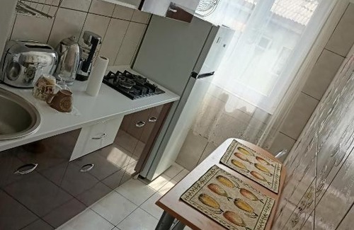Brezoi Apartment | AMY GARSONIERA CENTRU