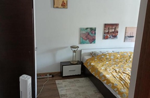 Brezoi Apartment | AMY GARSONIERA CENTRU