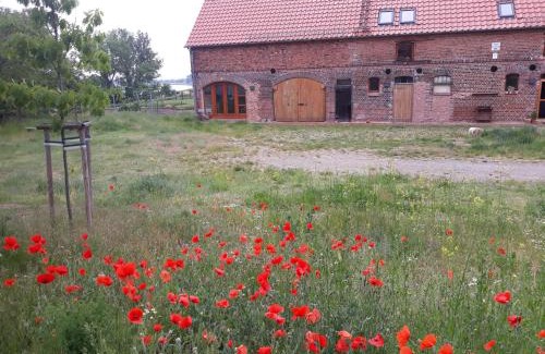 Worblitz Apartment | An den Elbwiesen GZ FeWo Elbeblick Nur Nichtraucher