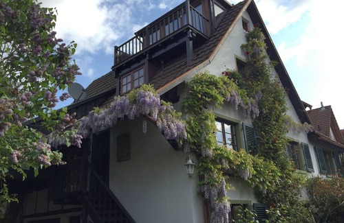 Kenzingen Apartment | "An den Rebterrassen", very nice top floor apartment, close to nature, roof terrace