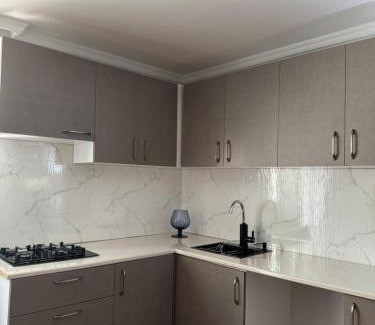 Tsinandali Apartment | AN Guest house