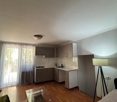Tsinandali Apartment | AN guest house