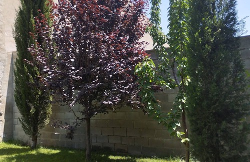 Villafranca de Ebro House | AN IDEAL PLACE TO DISCONNECT AND ENJOY WITH YOUR FAMILY AND FRIENDS!