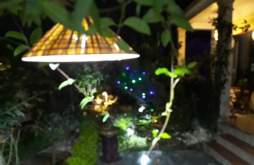 Ninh Binh House | An Phu Homestay
