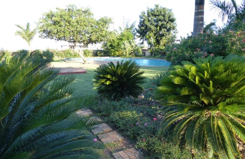 Maputo House | Ancha's Oasis