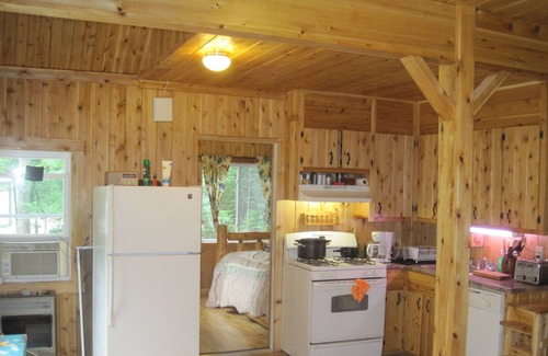 Lakeville Cabin | Anderson's Waterfront Cottage on Duck Lake