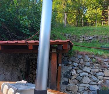 Sasca Montana House | Andrei