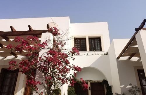 Paleopolis Apartment | Andros Aeolia