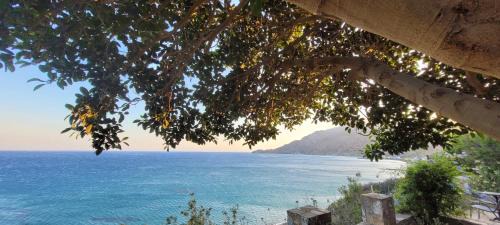 Minoa Pediada Apartment | Anemos