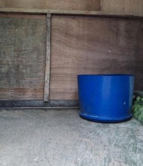 Raja Ampat House | Angganeti Homestay