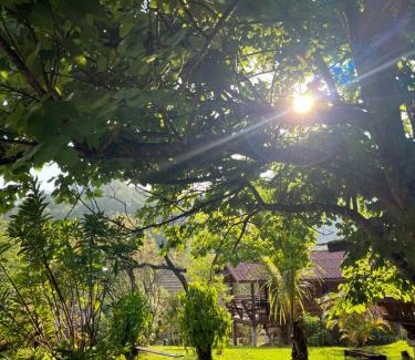 Chom Thong House | Angha forest view บ้านปลายนา
