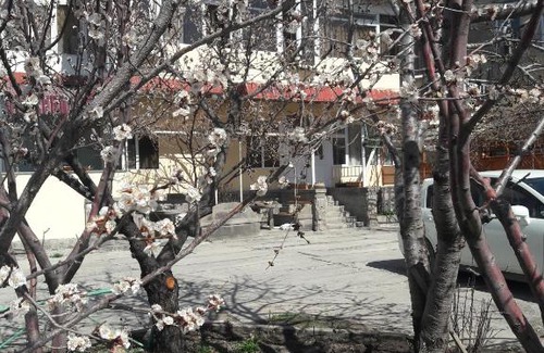Syunik Province Hotel | Ani Hotel