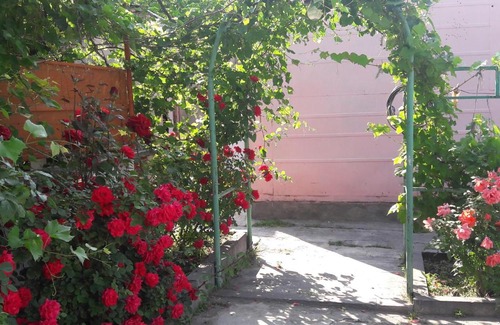Syunik Province Hotel | Ani Hotel