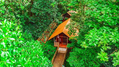 Tortuguero Cabin | Aninga Lodge