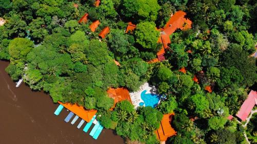 Tortuguero Cabin | Aninga Lodge