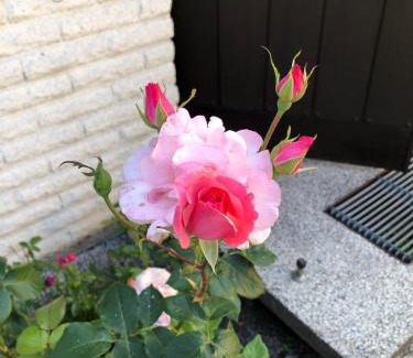 Kalvesta House | Anitas B&B Stockholm/Vällingby