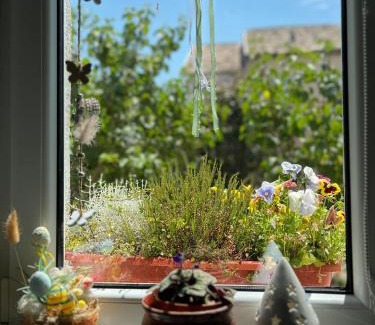 Ocna Mures Apartment | Ank's Apartment