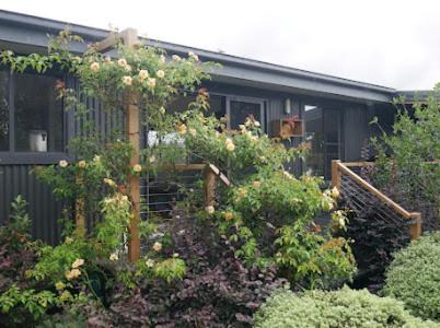 Tenterfield House | Annie's