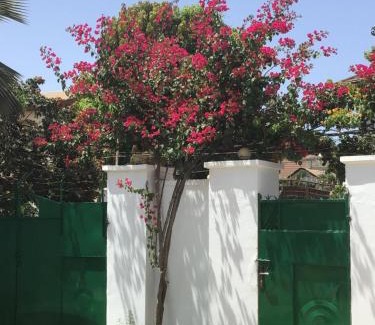 Cape Point Bed & Breakfast | Anns Guesthouse BakauGambia