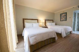 Monterrey Centro Hotel | Antaris Cintermex