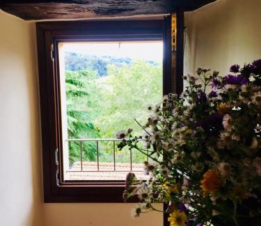 Loiano Apartment | Antico Borgo dell'Anconella - grande appartamento rustico