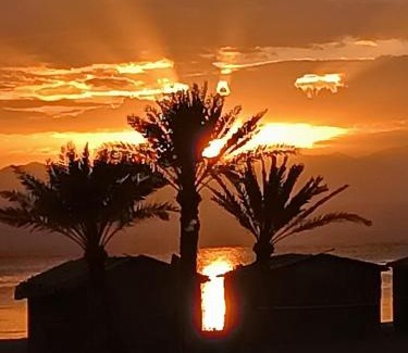 Nuweiba Other | Antika beach camp