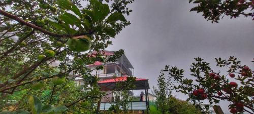 Fagu House | Anubhav Homestay Fagu