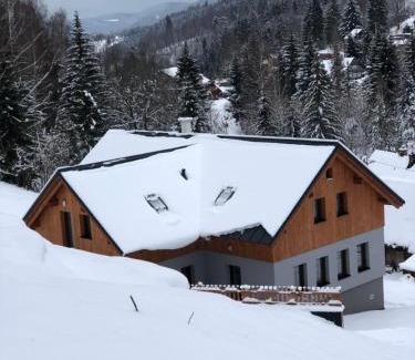 Albrechtice v Jizerskych horach Apartment | Apartmány Sportrelax