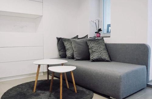 Hradec Kralove Apartment | AP10 - Apartments 4U Březinova "Overnight Simply"