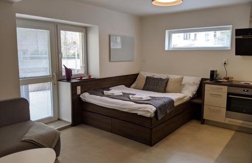 Hradec Kralove Apartment | AP10 - Apartments 4U Březinova "Overnight Simply"