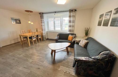Rokytnice v Orlickych Horach Apartment | Apartmán U Jiroutů
