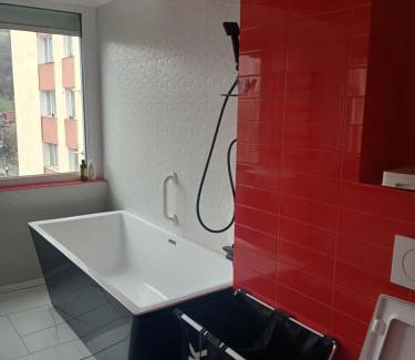 Piatra Neamt Apartment | Apart Hotel Center Luxury