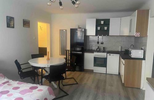 Ostrowiec Swietokrzyski Apartment | Apartament Centrum