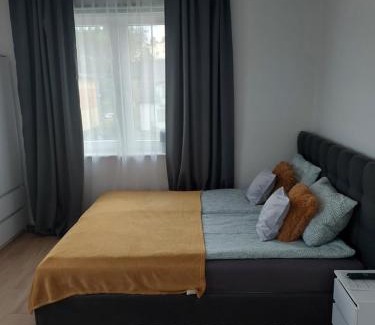 Lidzbark Welski Apartment | Apartament Świerkowa