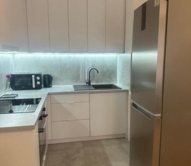 Gorzow Wielkopolski Apartment | Apartament ŻELAZNY HGS Home