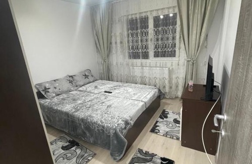 Petrosani Apartment | Apartament 2 camere