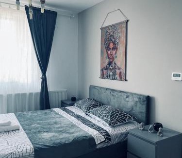 Selimbar Apartment | Apartament acasă