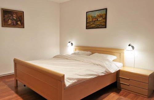 Hunedoara Apartment | Apartament BOCA 2