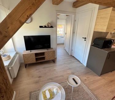 Leszno Apartment | Apartament Centro 10