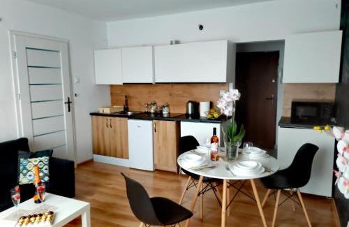 Chelmsko Slaskie Apartment | APARTAMENT CHEŁMSKO - rowery gratis