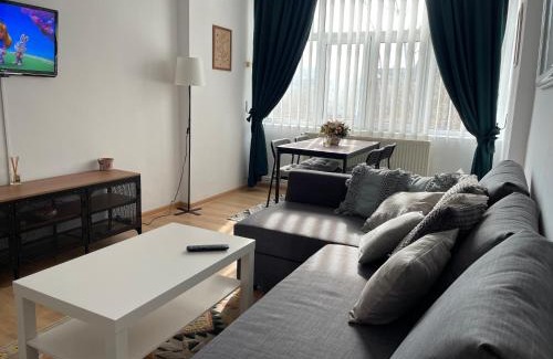 Husi Apartment | Apartament Cina