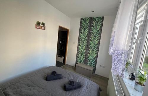 Szarlej Apartment | Apartament city center 118