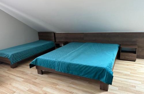 Wodzislaw Slaski Apartment | Apartament Contra