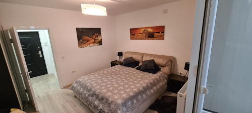 Cugir Apartment | Apartament cu 1 camera spatios ,luminos .