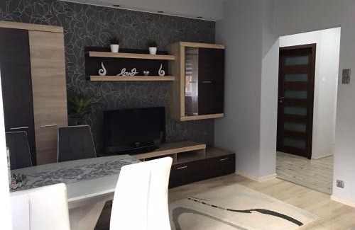 Dziaki Lesne Apartment | Apartament D&B