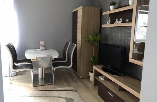 Dziaki Lesne Apartment | Apartament D&B