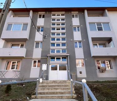 Cavnic Apartment | Apartament Dor de Munte Cavnic