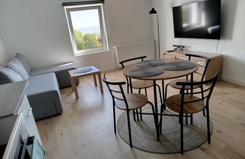Srebrna Gora Apartment | Apartament Eden