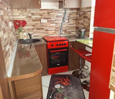 Baile Herculane Apartment | Apartament ELVIRA Băile Herculane